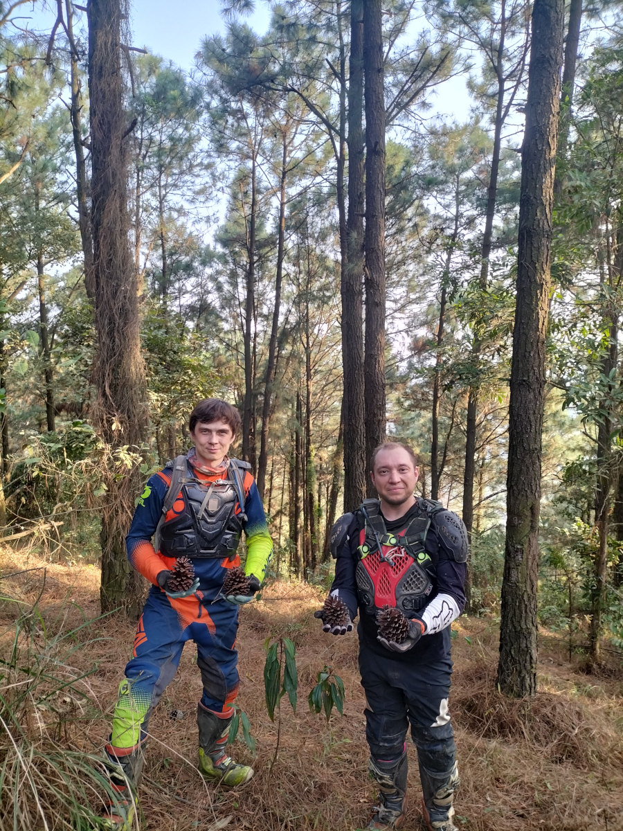 2-3 Day Soc Son Image 2